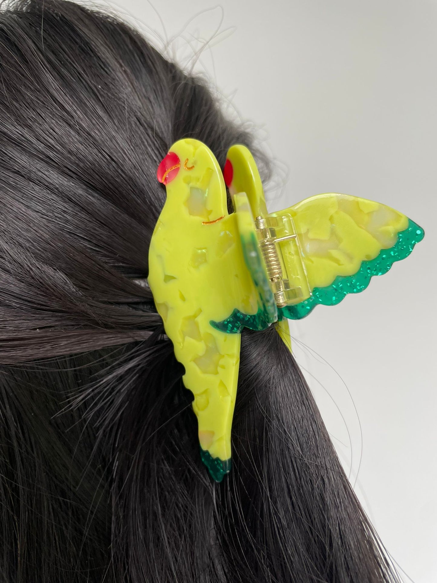 Playful Parrot Hairclip