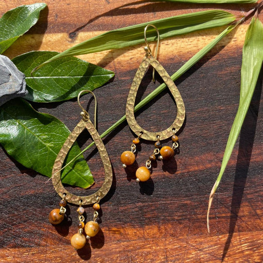 Shiva Tigers eye earrings